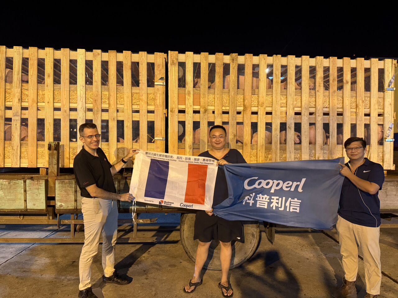 71 porcs reproducteurs acheminés vers Taïwan pour Cooperl